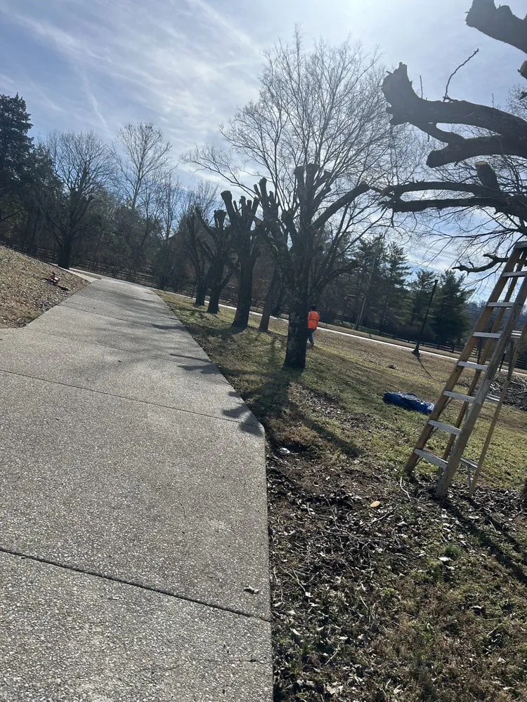 Affordable garden landscaping with custom design across Nashville, TN - Amaya landscape