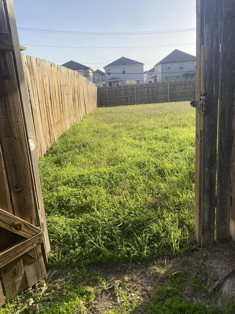 Professional lawn care service experts serving Manor, TX - Amaya Lawn & Landscape Services