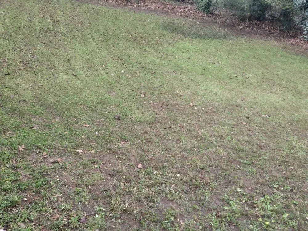 Affordable garden landscaping experts serving Snellville, GA - Amaya Lawn Care