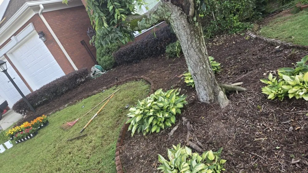 Expert lawn mowing service experts serving Snellville, GA - Amaya Lawn Care