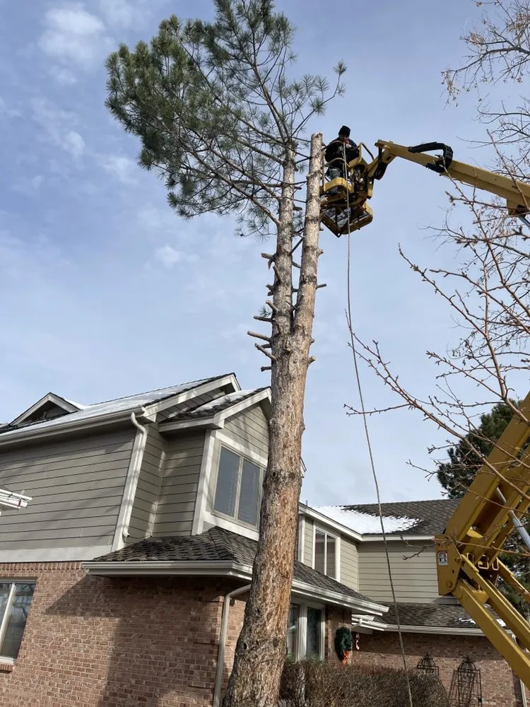 Top-rated landscape installation experts serving Aurora, CO - Amaya Scapes