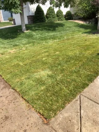 Local residential landscaping in Aurora, CO by Amaya Scapes