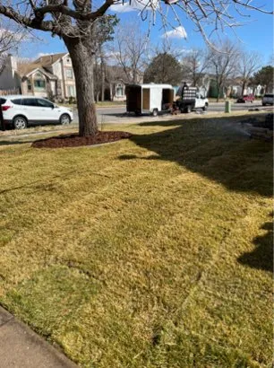 Trusted lawn care service in Aurora, CO - Amaya Scapes