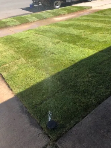 Custom yard cleanup service in Aurora, CO - Amaya Scapes