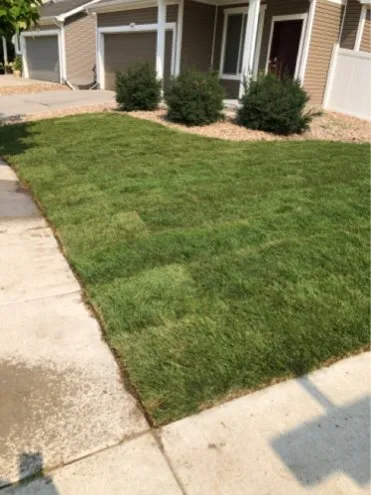 Local landscape installation experts serving Aurora, CO - Amaya Scapes