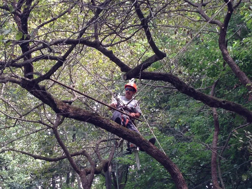 Professional residential landscaping experts serving Aurora, CO - Amaya Scapes