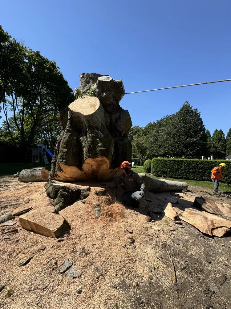 Reliable lawn care service for year-round maintenance in Riverhead, NY by Amaya Tree Service