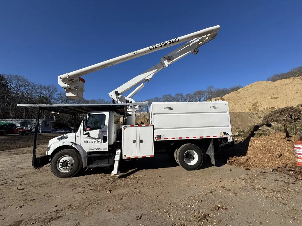 Trusted yard cleanup service in Riverhead, NY - Amaya Tree Service