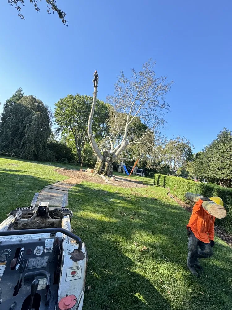 Affordable landscape design in Riverhead, NY by Amaya Tree Service