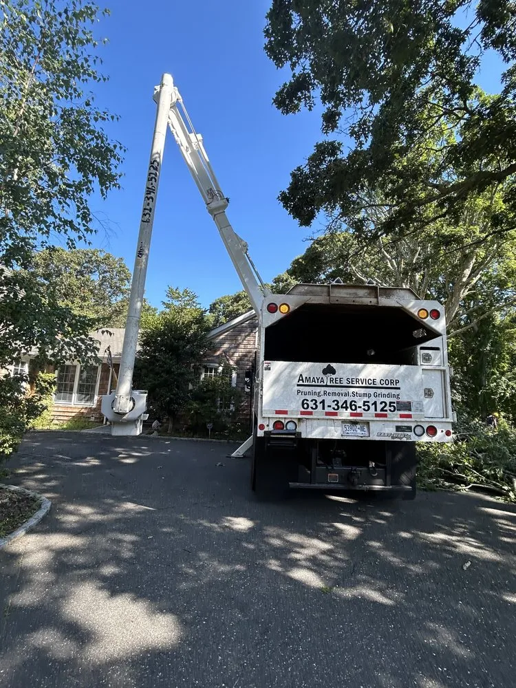Top-rated garden landscaping in Riverhead, NY - Amaya Tree Service