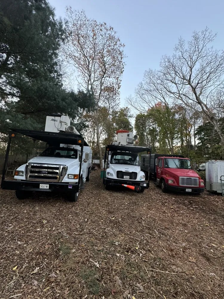 Reliable lawn mowing service for residential properties in Riverhead, NY by Amaya Tree Service