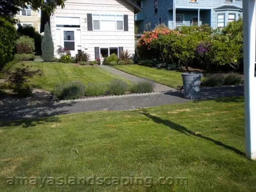 Expert landscape design in Burien, WA by Amaya's Landscaping