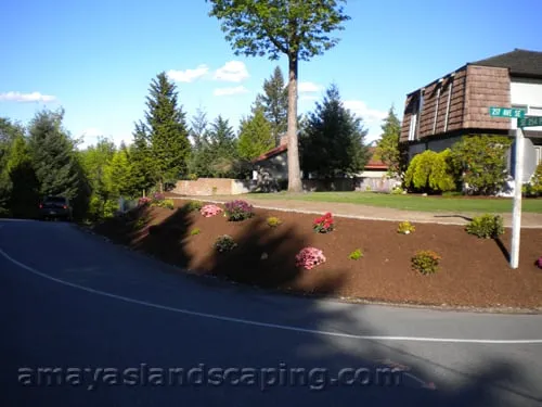 Trusted residential landscaping for homes in Burien, WA by Amaya's Landscaping