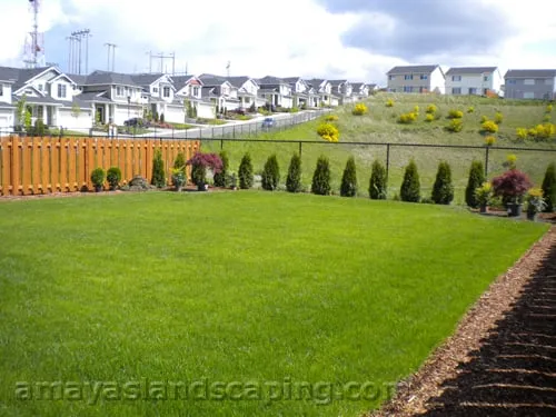 Trusted landscape installation for residential properties in Burien, WA by Amaya's Landscaping