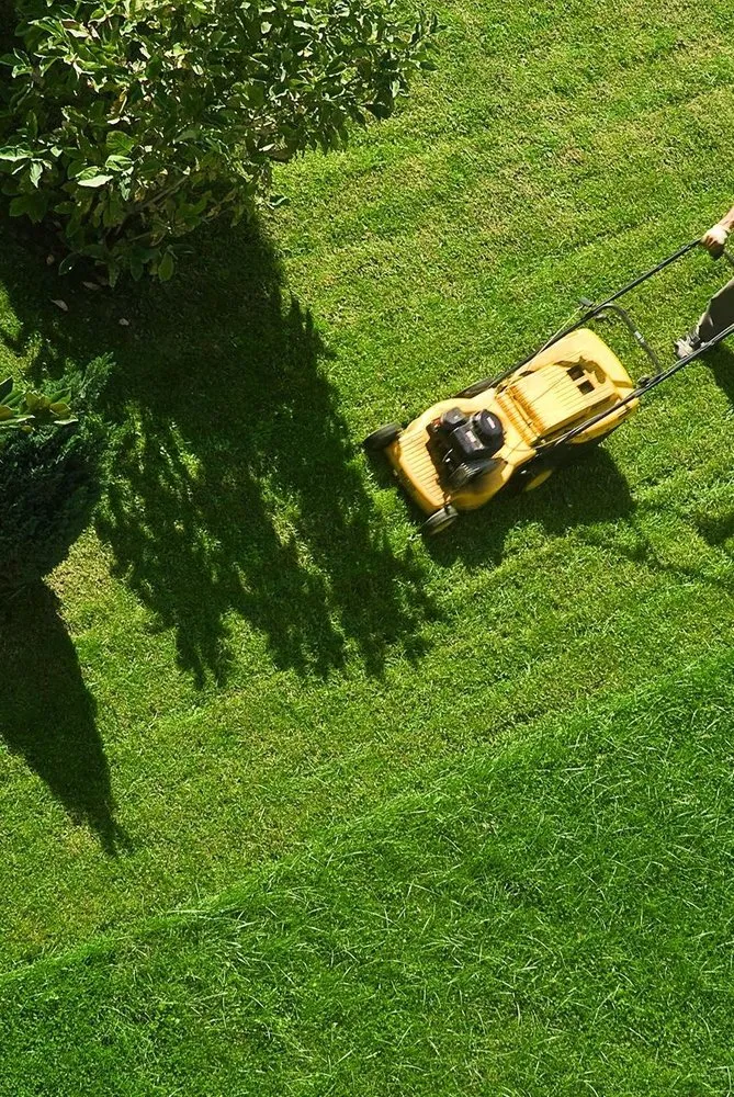 Expert lawn care service for year-round maintenance in Cleveland, TX by Amaya’s Landscaping