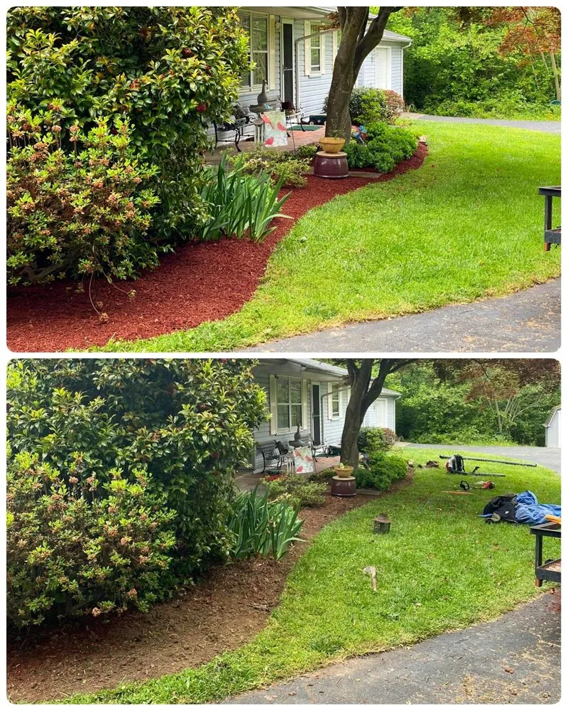 Affordable yard cleanup service for year-round maintenance in Alexandria, VA by Amaya's Landscaping Services