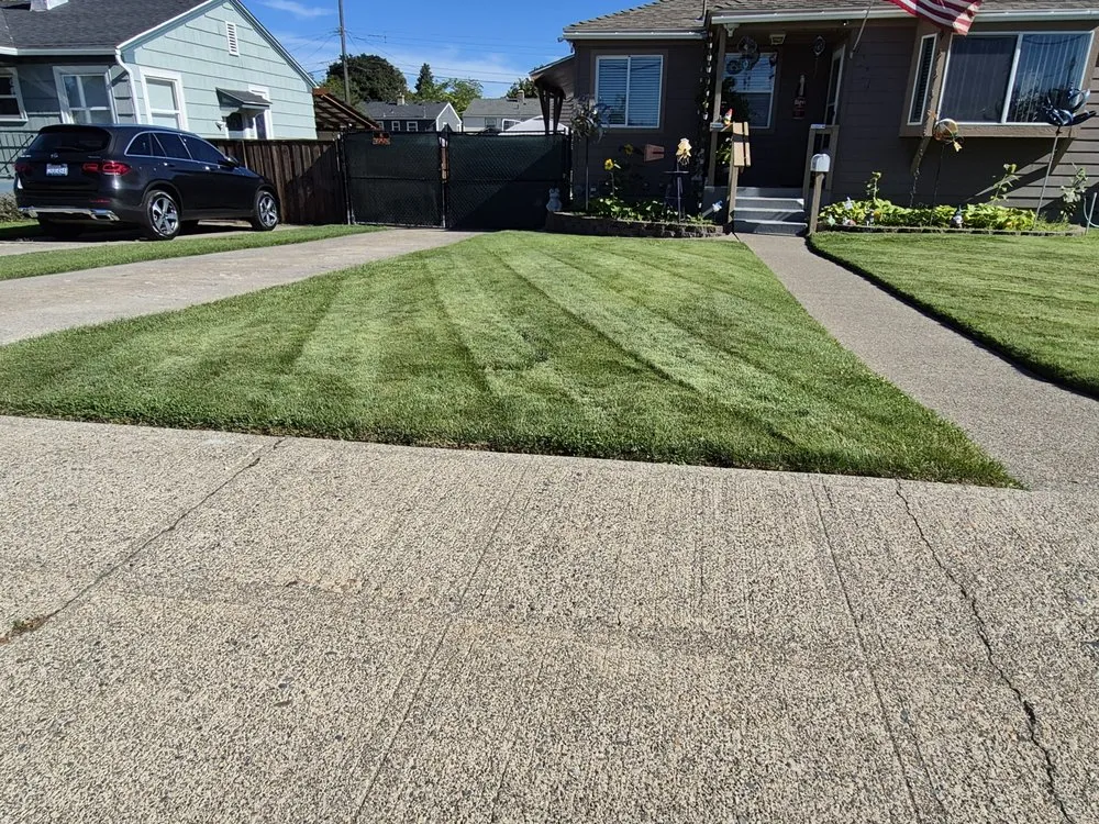 Professional yard cleanup service in Spokane, WA by Amayesing Lawn Care And Clean Up