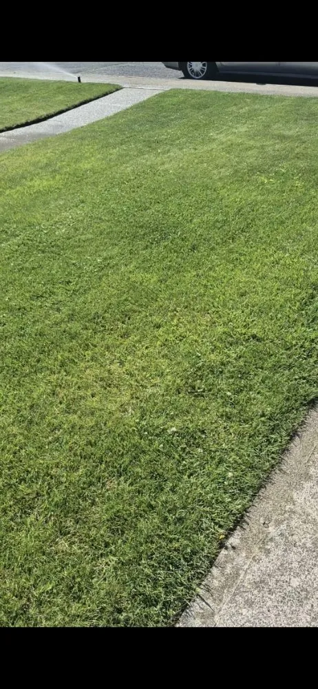 Affordable yard maintenance for homes across Spokane, WA - Amayesing Lawn Care And Clean Up