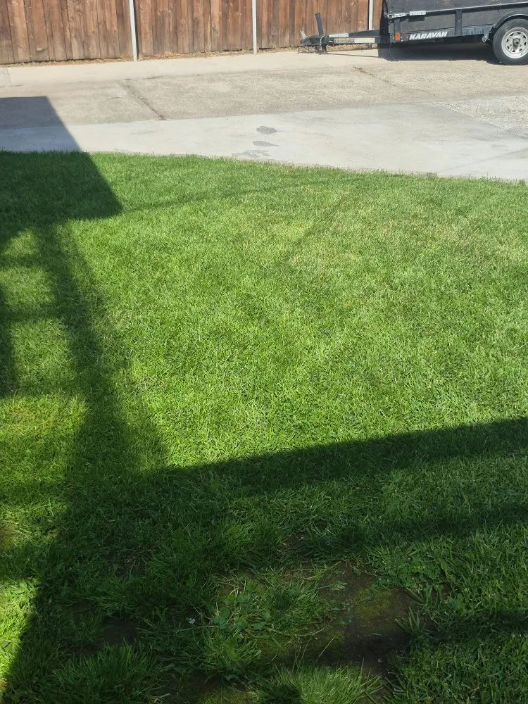 Local outdoor landscaping in Spokane, WA by Amayesing Lawn Care And Clean Up