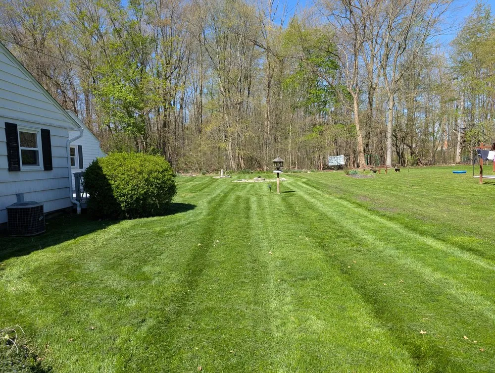 Local landscape installation for outdoor upgrades across Alliance, OH - Amaysing Landscaping