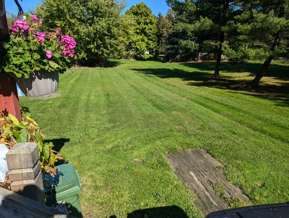 Reliable yard maintenance experts serving Alliance, OH - Amaysing Landscaping