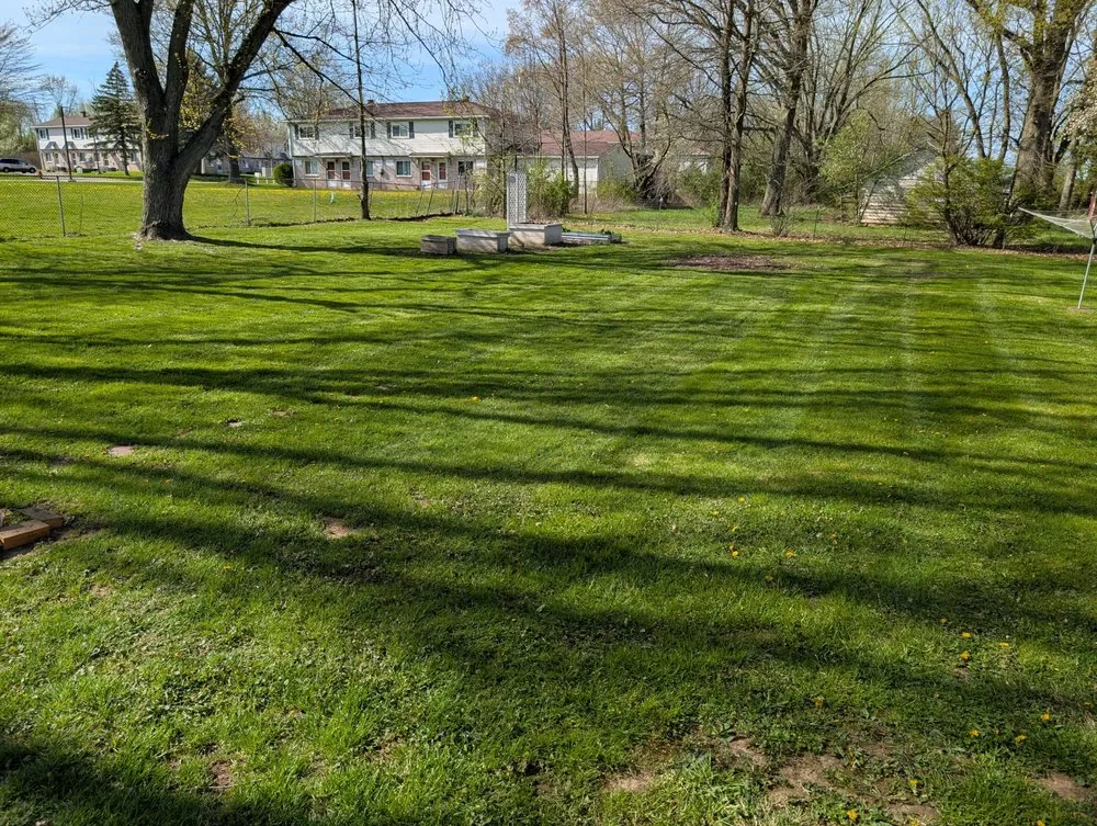 Local landscape design for beautiful yards across Alliance, OH - Amaysing Landscaping