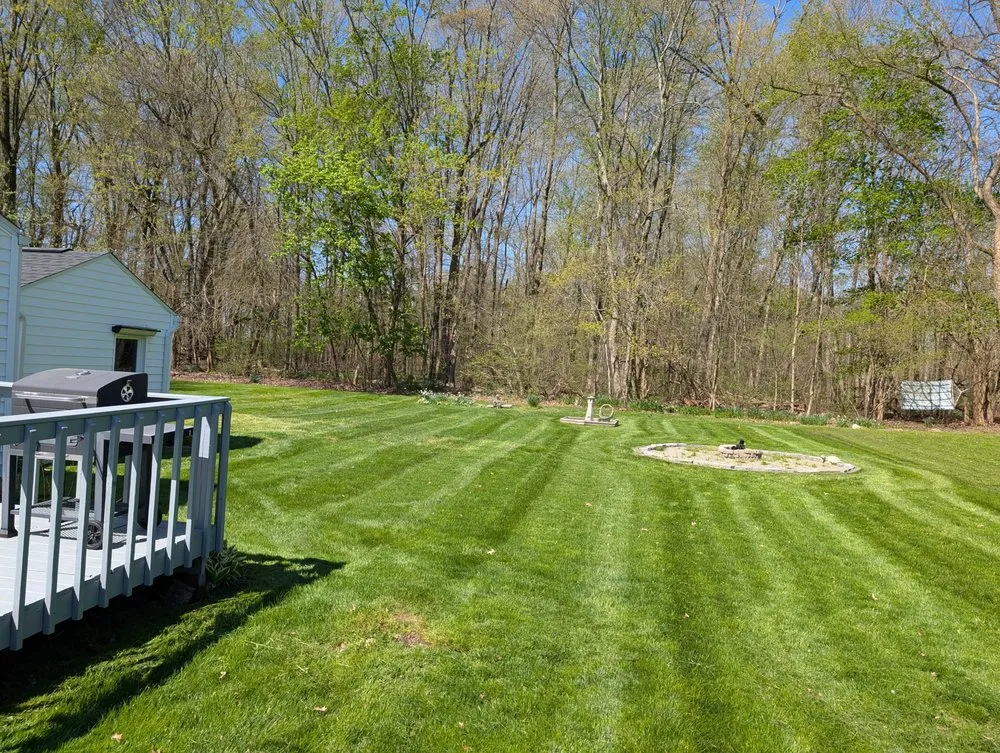Trusted yard cleanup service for year-round maintenance in Alliance, OH by Amaysing Landscaping