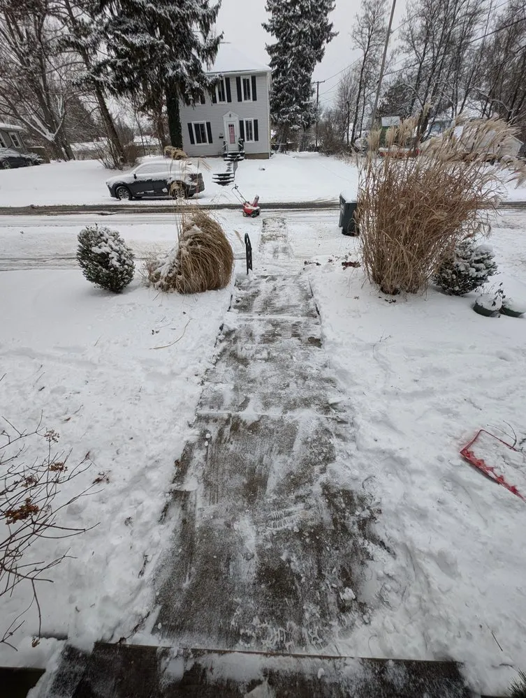 Affordable lawn care service experts serving Alliance, OH - Amaysing Landscaping