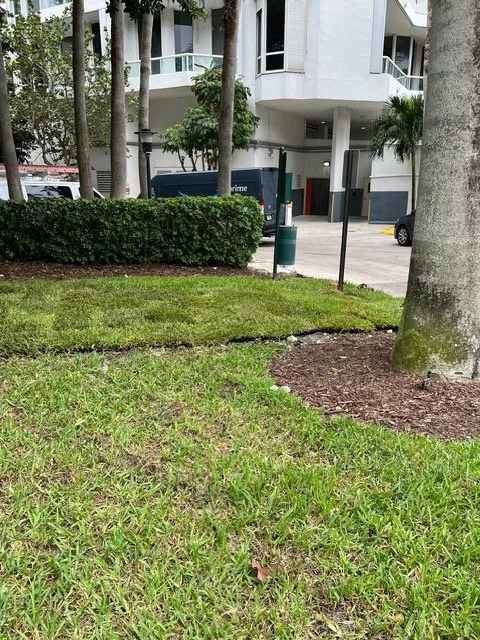 Local lawn mowing service experts serving Miami, FL - Amazing & Creative Services