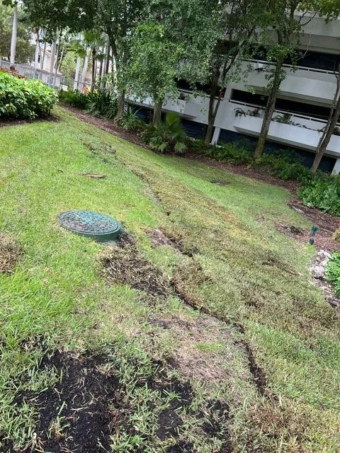 Custom landscape installation for homes across Miami, FL - Amazing & Creative Services