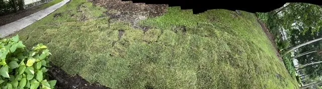 Professional garden landscaping with custom design in Miami, FL by Amazing & Creative Services