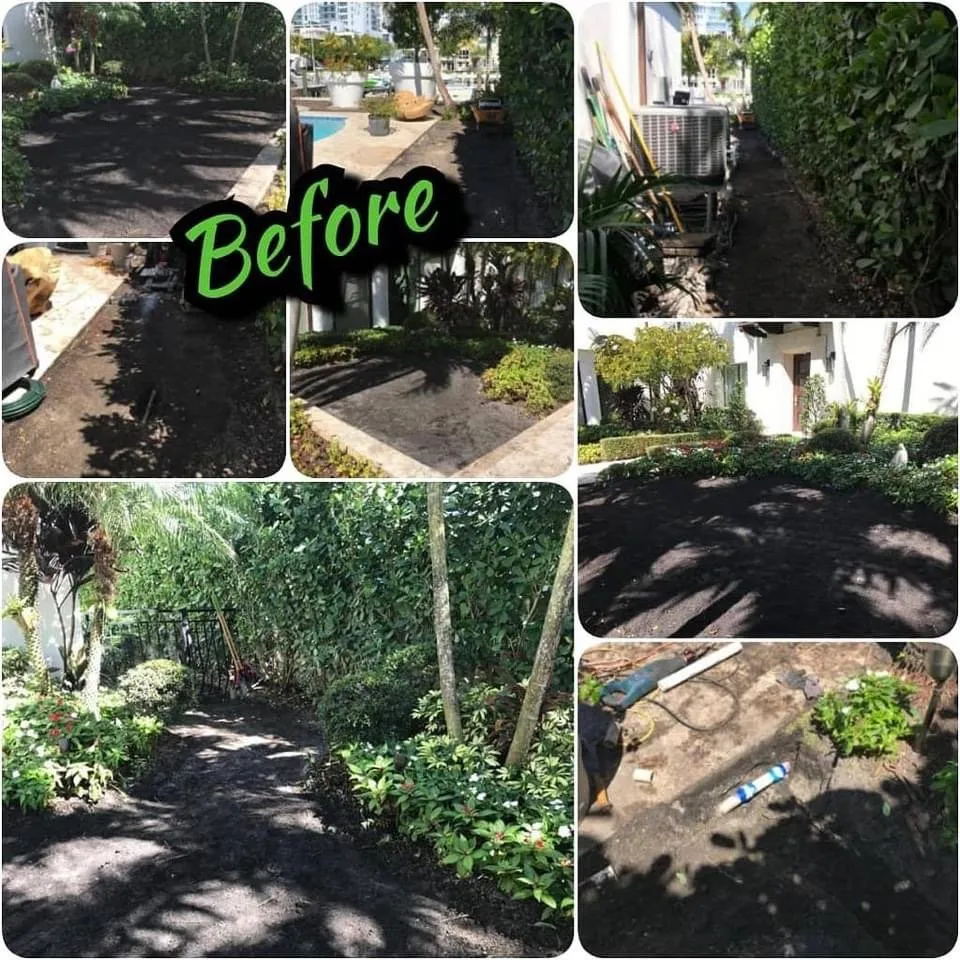 Affordable outdoor landscaping in Miami, FL by Amazing & Creative Services