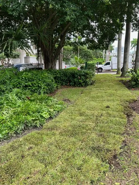 Local yard maintenance in Miami, FL - Amazing & Creative Services