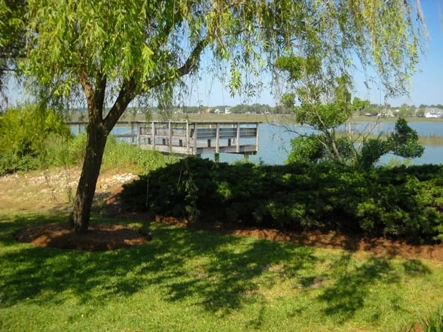 Top-rated outdoor landscaping in Myrtle Beach, SC by Amazing Blades Landscaping