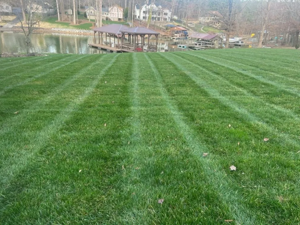 Professional landscape installation for outdoor upgrades across Stony Point, NC - Amazing Cuts Lawncare