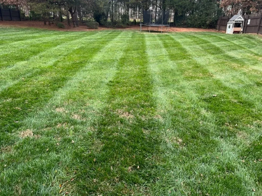 Professional residential landscaping for year-round maintenance in Stony Point, NC by Amazing Cuts Lawncare