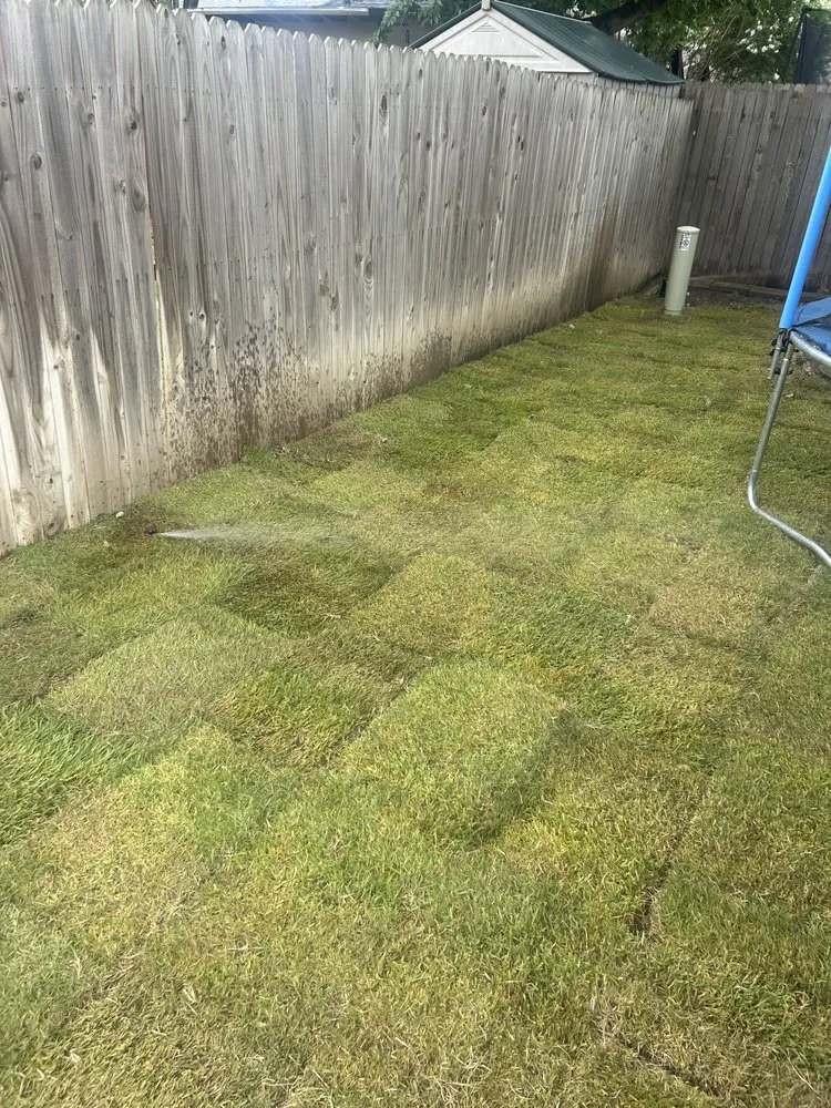 Local lawn care service experts serving Grapevine, TX - Amazing Grace Garden Center