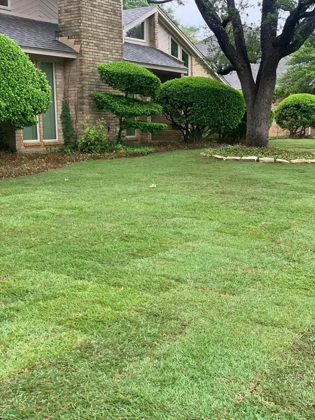 Local residential landscaping for year-round maintenance in Grapevine, TX by Amazing Grace Garden Center