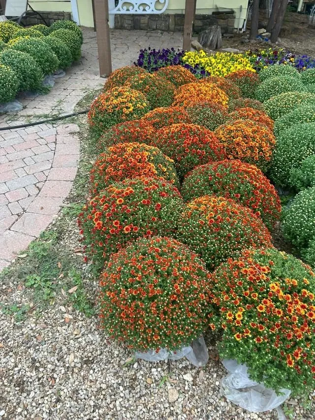 Reliable garden landscaping in Grapevine, TX - Amazing Grace Garden Center