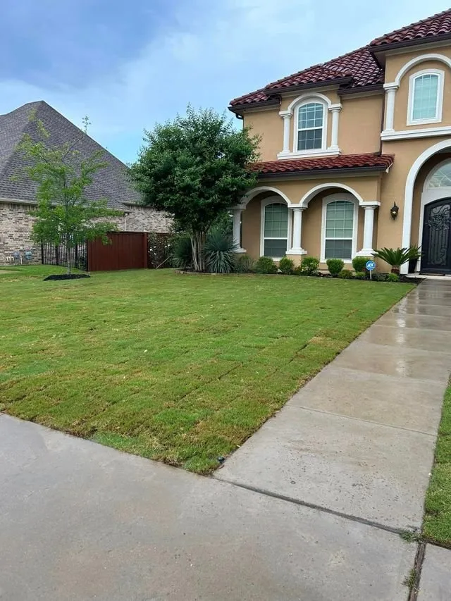 Local yard maintenance for year-round maintenance in Grapevine, TX by Amazing Grace Garden Center