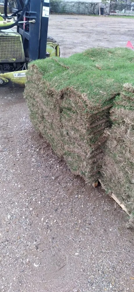 Professional garden landscaping in Grapevine, TX by Amazing Grace Garden Center