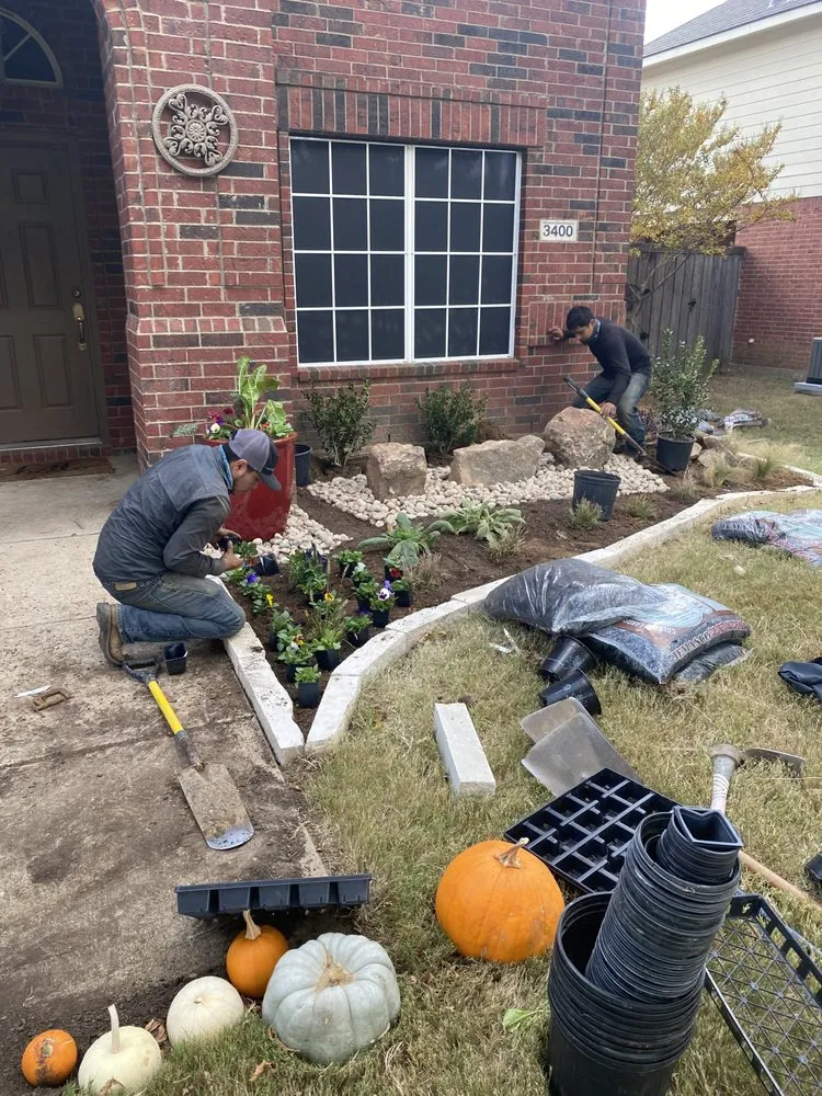 Expert yard cleanup service in Grapevine, TX - Amazing Grace Garden Center