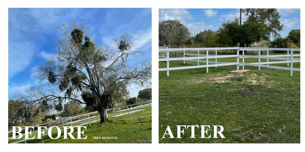 Affordable yard maintenance experts serving Kissimmee, FL - Amazing Grace Landscaping
