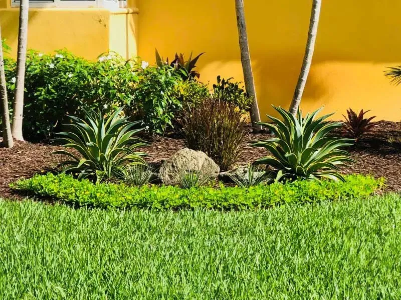 Local yard cleanup service for beautiful yards in Kissimmee, FL by Amazing Grace Landscaping