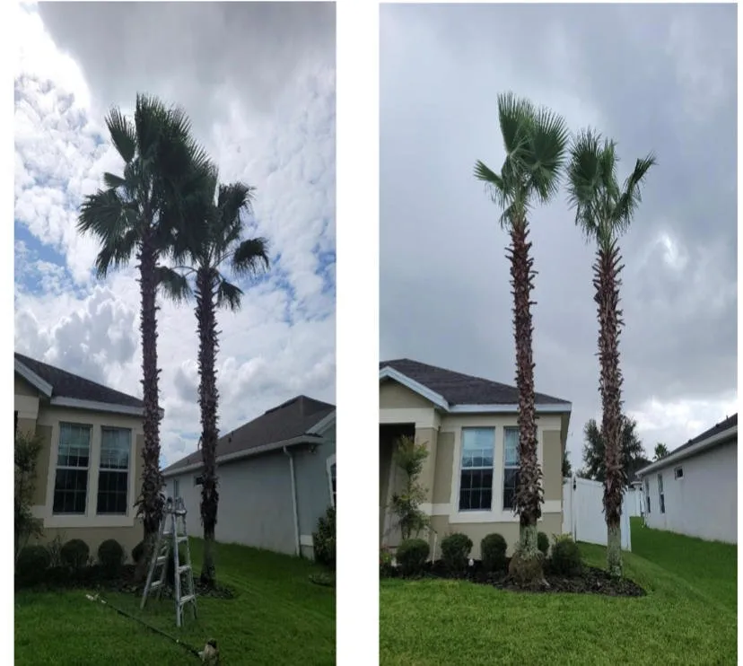 Local yard maintenance in Kissimmee, FL - Amazing Grace Landscaping