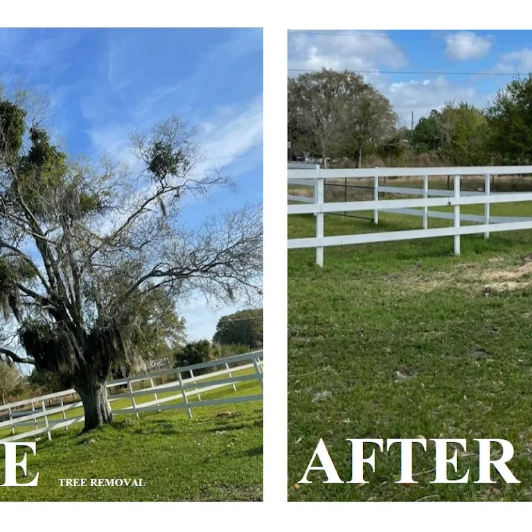 Top-rated yard maintenance for residential properties across Kissimmee, FL - Amazing Grace Landscaping