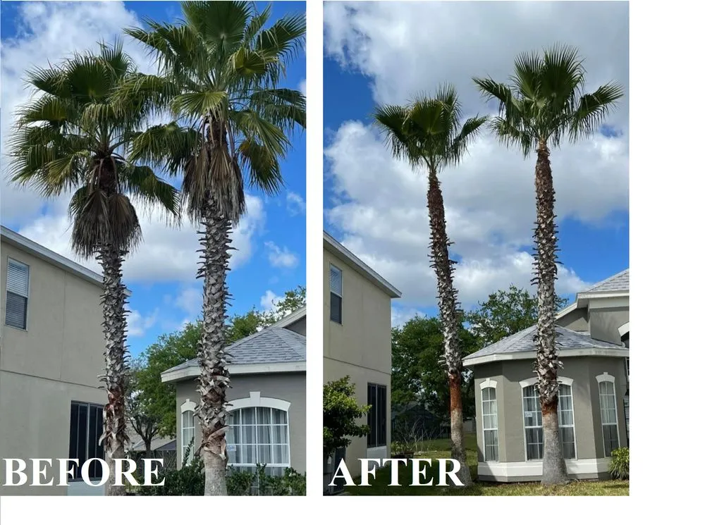 Affordable garden landscaping for homes across Kissimmee, FL - Amazing Grace Landscaping
