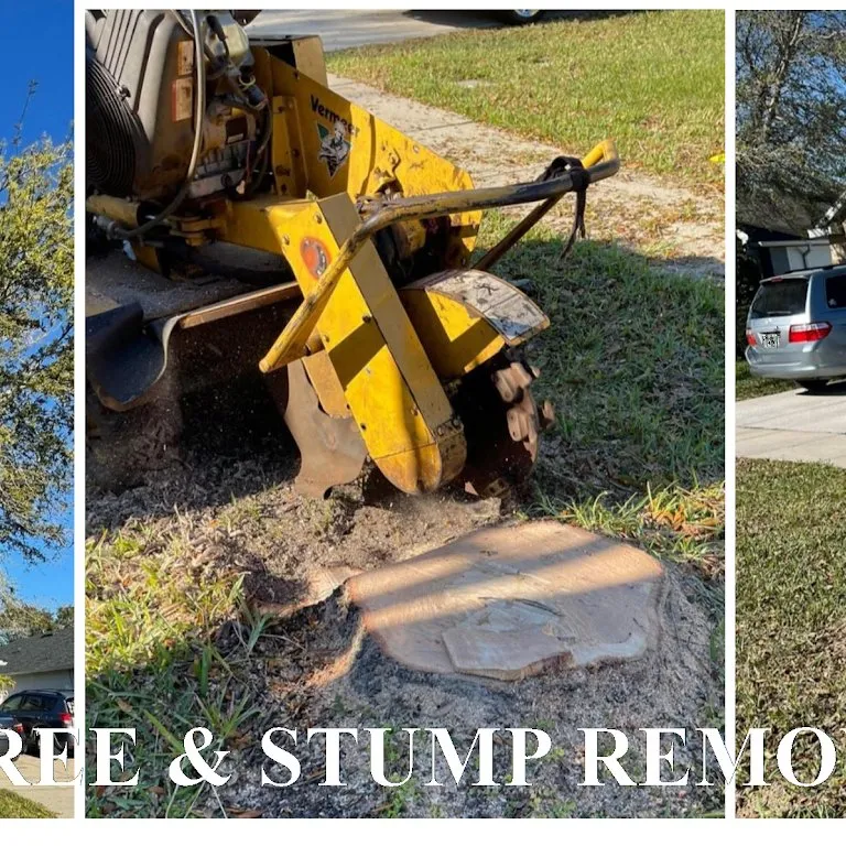 Affordable outdoor landscaping experts serving Kissimmee, FL - Amazing Grace Landscaping