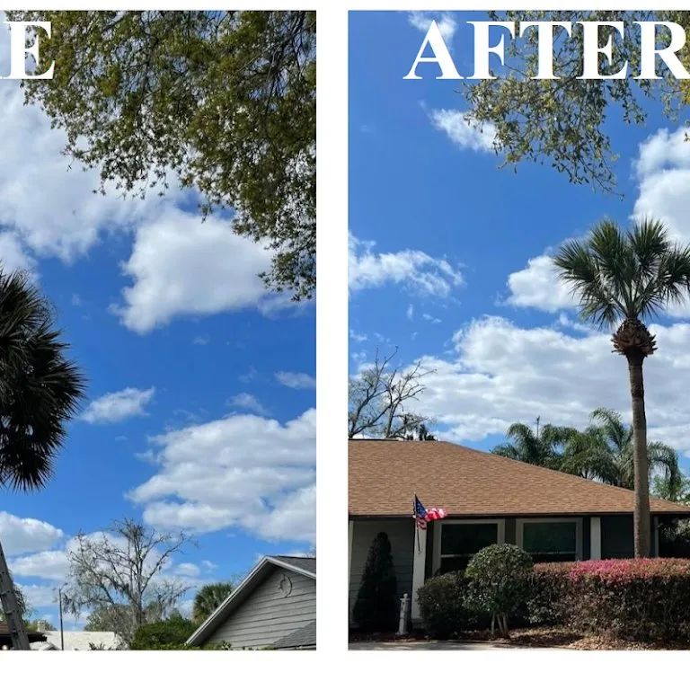 Expert landscaping services in Kissimmee, FL - Amazing Grace Landscaping