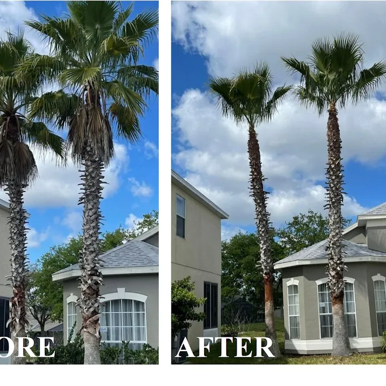 Custom lawn care service in Kissimmee, FL by Amazing Grace Landscaping